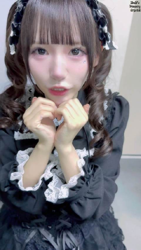 今日的动画券