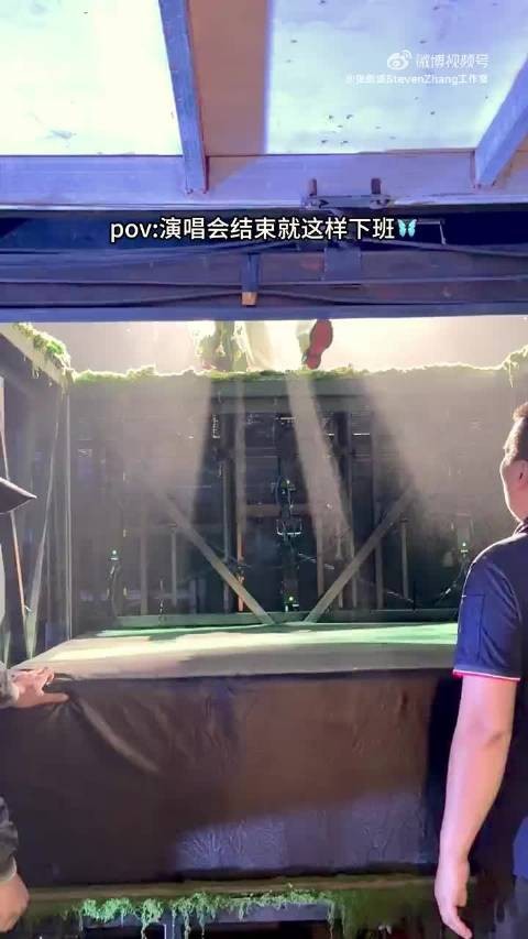 张新成演唱会神级退场,台下视角蝴蝶光影绝美