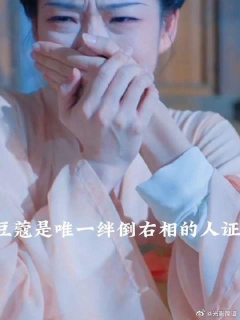 袁令仪遭欺骗家破人亡,豆蔻誓揭右相