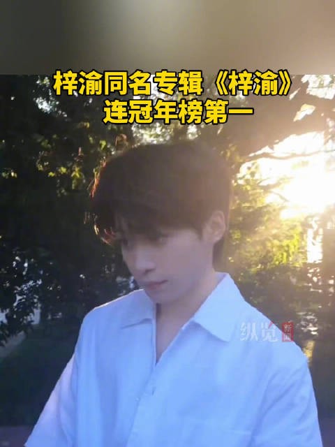 梓渝腾讯音乐实体专辑榜年冠