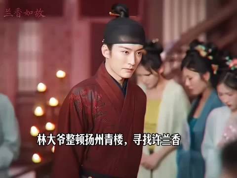 林大爷整顿扬州青楼，寻找许兰香 ，兰香如故