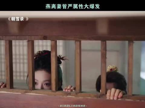 这就是夫妻的默契!朝雪录