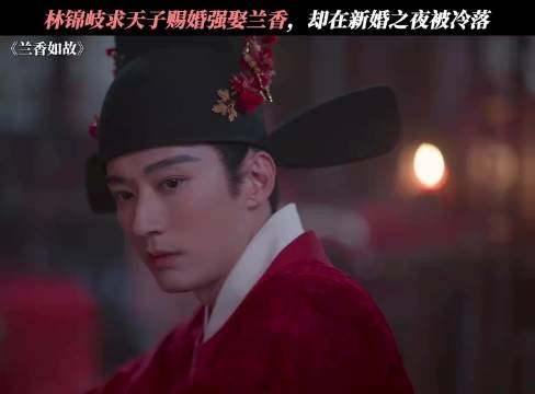 兰香如故27集大婚,林锦岐誓言此生唯一