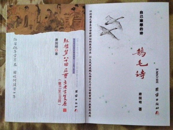 红楼梦后20回.鹅毛诗封面.jpg