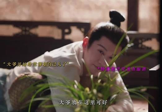 大爷开始给兰谋划自己人了