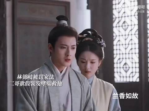 兰香如故林家兄妹装病救大哥,三姑娘归来震慑全场