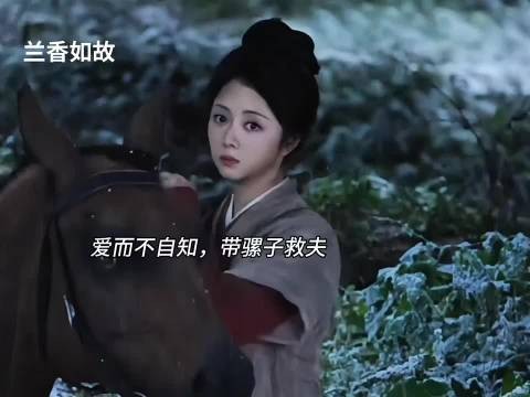 爱而不自知,带骡子救夫