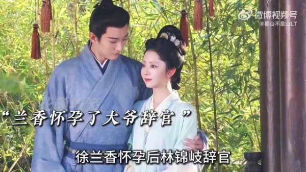 许兰香怀孕后林锦岐辞官！