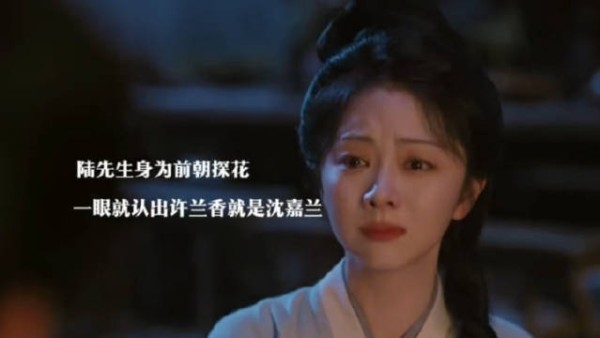 陆宗白认出兰香是沈嘉兰，兰香又获撑腰