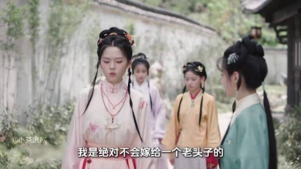 兰香如故:林锦给与永昌侯查案,林秀芄不愿意嫁入豪门