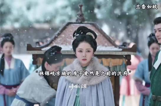 林锦岐在京城的房子竟然是之前的沈府，赵星棠拿戢儿的身契威胁兰香