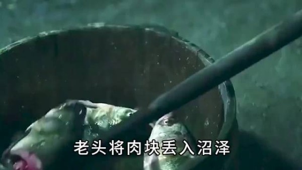 老头养的水怪,竟是姐姐找了十年的弟弟!