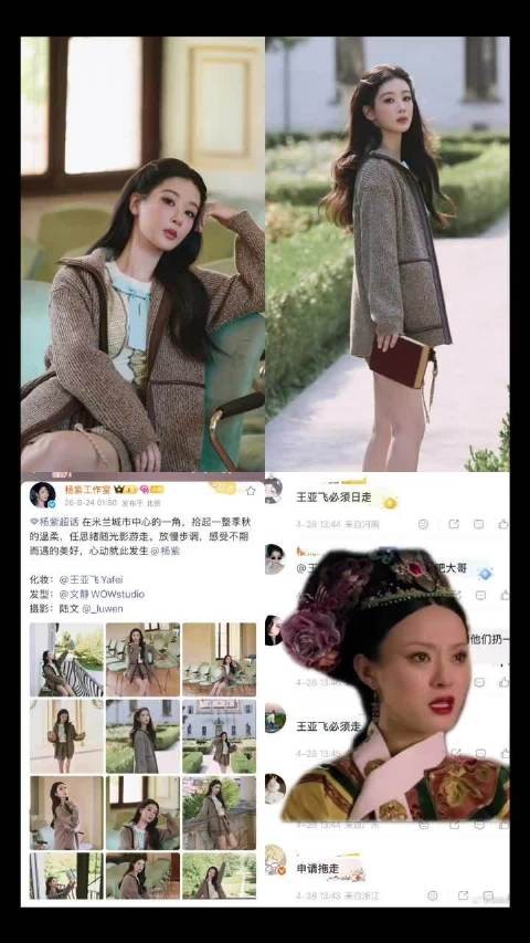 王亚飞：臣妾此身从此分明了