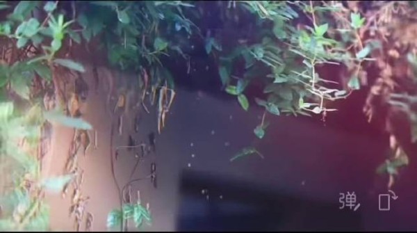 魏大勋粉丝今天过节,霸总节拍游刃有余