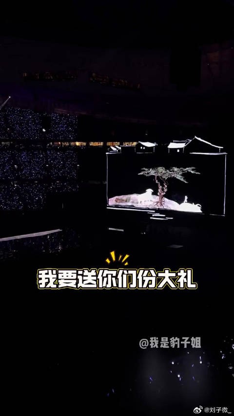 张艺兴鸟巢演唱会庆生，粉丝贝壳陪伴