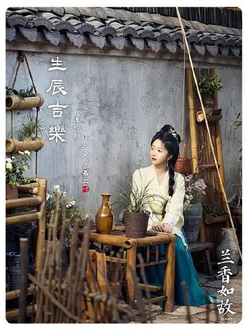 许兰香救父夺回被骗银两,踏入林府成婢女