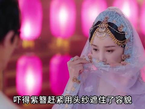 爱妻去世帝王性情大变,截杀和亲公主