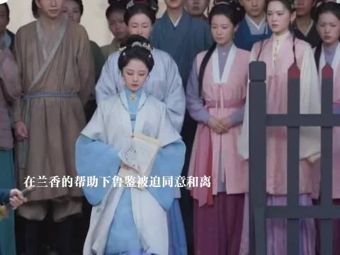 在兰香村帮助下鲁鉴同意和离，汉王谋反，林锦歧重伤兰香救了他和赵星棠