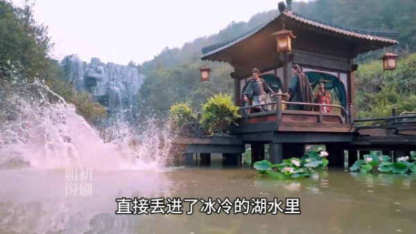 度华年:男人向前世妻子求婚,谁知下一秒直接被扔进湖里!