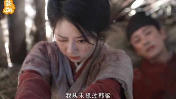 兰香救下濒死林锦岐,劝改嫁后坦言从未喜欢引求生反转