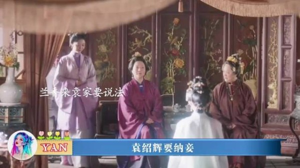 袁绍辉纳妾，兰香去袁府帮林绣茹谈判