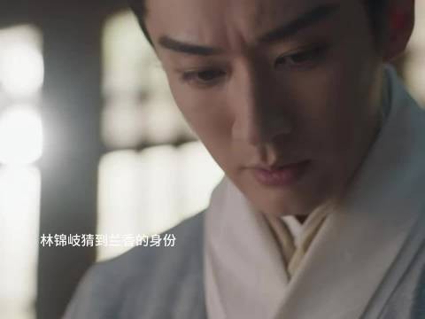 林锦岐猜到兰香的身份