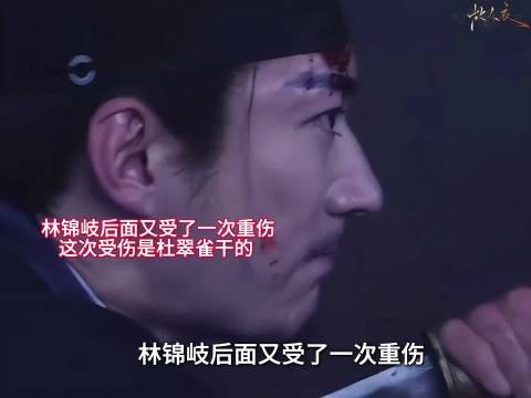 杜翠雀下手加害,林锦岐又一次身负重伤,身子本就亏虚,这下状况越发糟糕