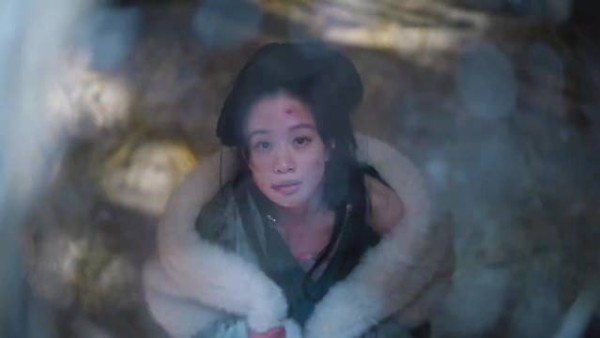 那个最怕寒冷的女子，在尝尽世间凉薄之后，永远留在了这个冰天雪地的寒冬