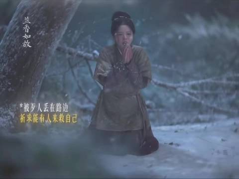 兰香如故单更后观众二胡复刻赵星棠名场面，二创热潮涌动