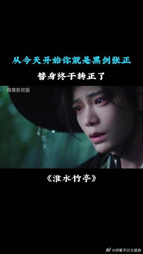 从今天开始你就是黑剑张正,替身终于转正了