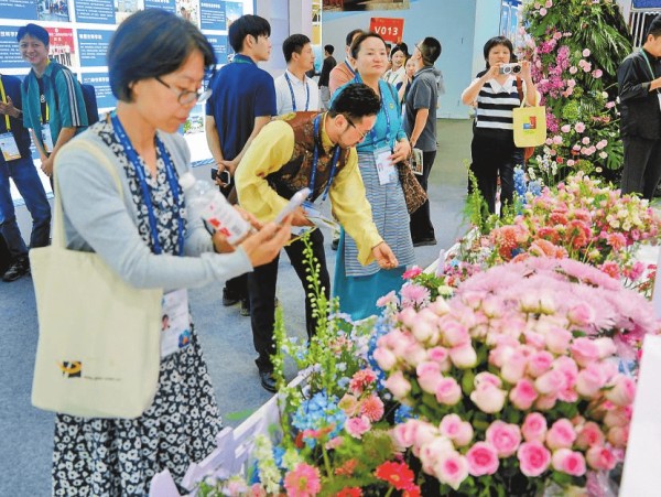 “我从来没去过云南，但今天比看多少视频都真切”