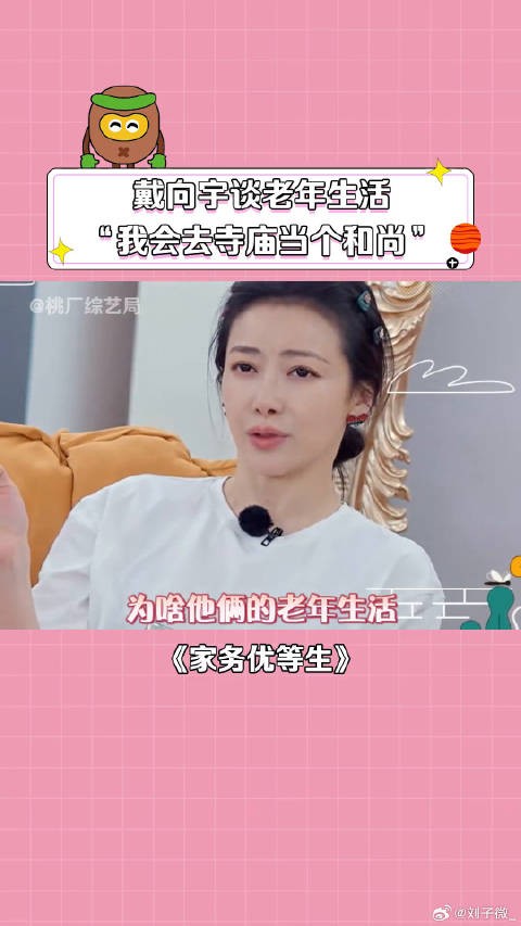 戴向宇 微博VC计划