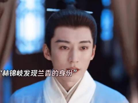 知道兰香就是沈嘉兰 林锦岐更多的是心疼吧
