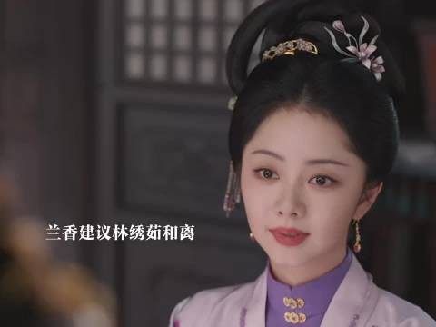 袁绍辉纳妾，兰香劝林绣茹和离