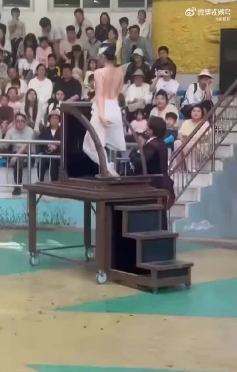 TikTok爆火视频揭秘人体消失术魔术