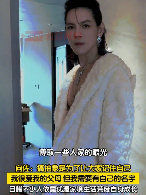 向佐回应频繁搞抽象