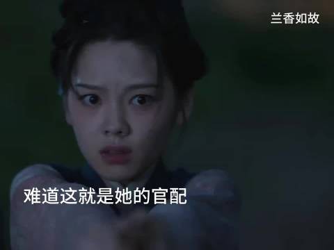 兰香如故,官配揭晓