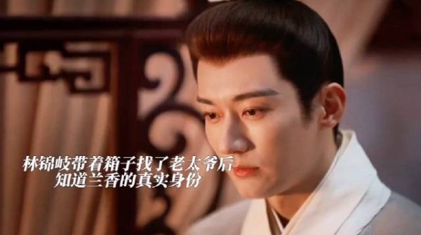 林锦岐烧毁证据,程凤仙诋毁兰香管家身份