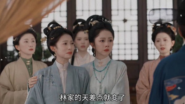 秦氏走了，林家的天差点就变了，二房出来蹦跶妄想夺权！