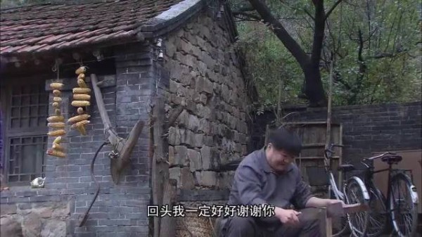媒婆给哑巴儿子介绍媳妇,一看竟是个大妈,好看了