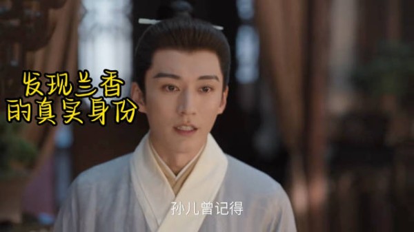 兰香如故，在这一刻林锦岐才意识到许兰香就是沈嘉兰…