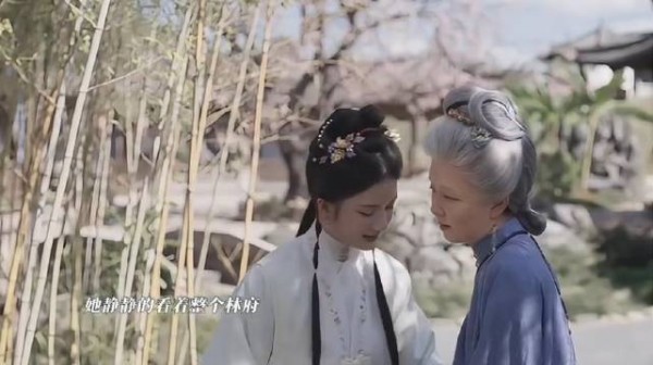 兰香老了,年过八旬,眼看着林府人越来越少,在睡梦中安然去世