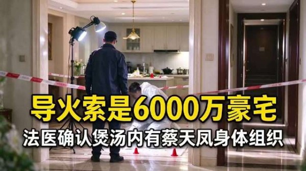 法医确认煲汤含蔡天凤人体组织，导火索系6000万豪宅