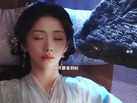 今天的烦恼,会在熄灯以后都跑掉