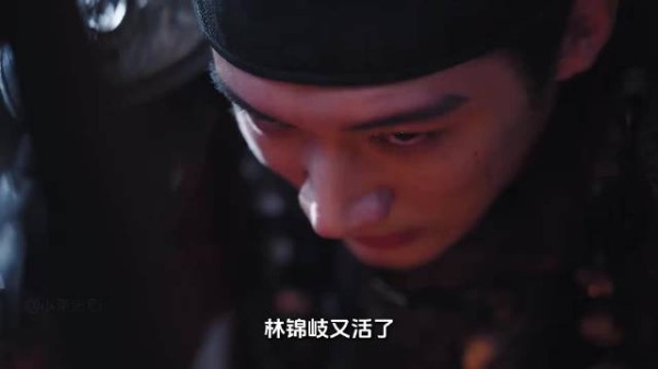 兰香如故:林锦岐以命相搏,阻止汉王谋反
