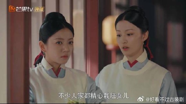 宫女太过优秀,厨艺好脑子也聪明,怎料遭人怀疑身份