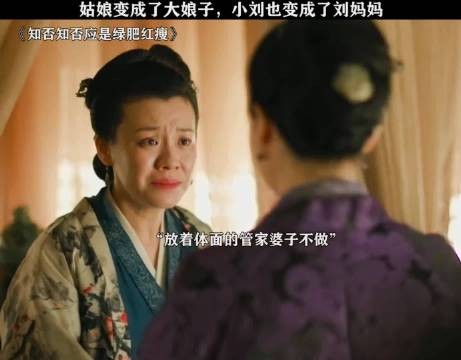 唯一一次没听刘妈妈的话,大娘子就差点被休了 赵丽颖 刘琳