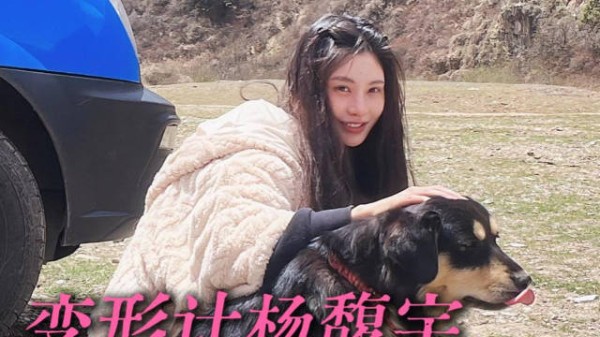 小时候看不懂杨馥宇，现在醍醐灌顶
