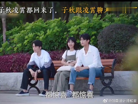 子秋跟凌霄聊天太搞笑了