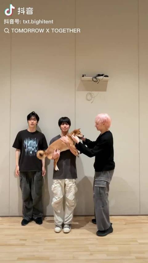 20261011 官抖更新 ️ 都冷静点汪